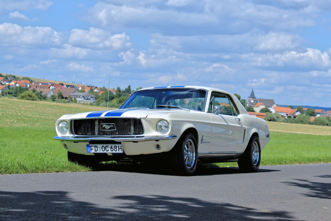 Mustang_4.jpg