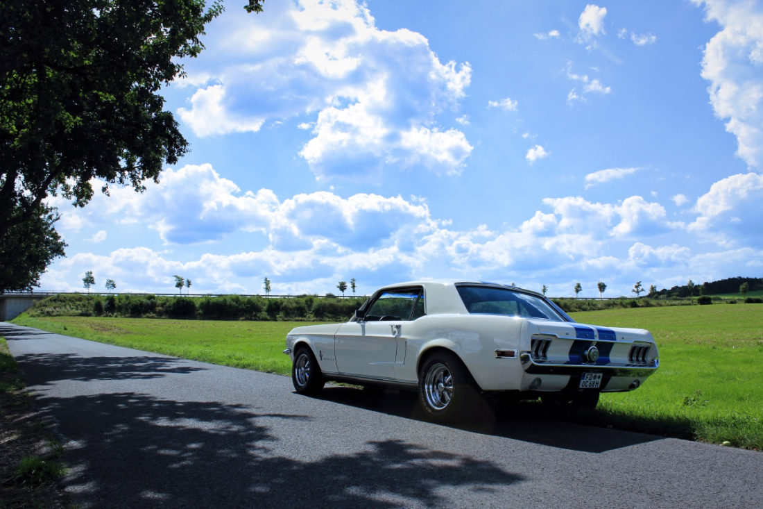 Mustang_3.jpg
