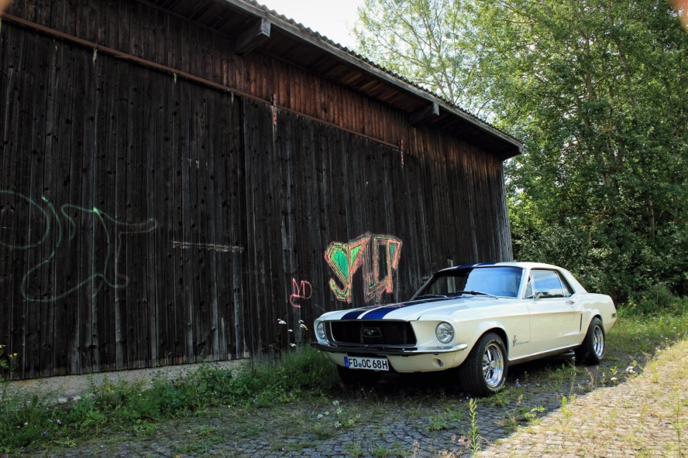 Mustang_2_Fotor.jpg