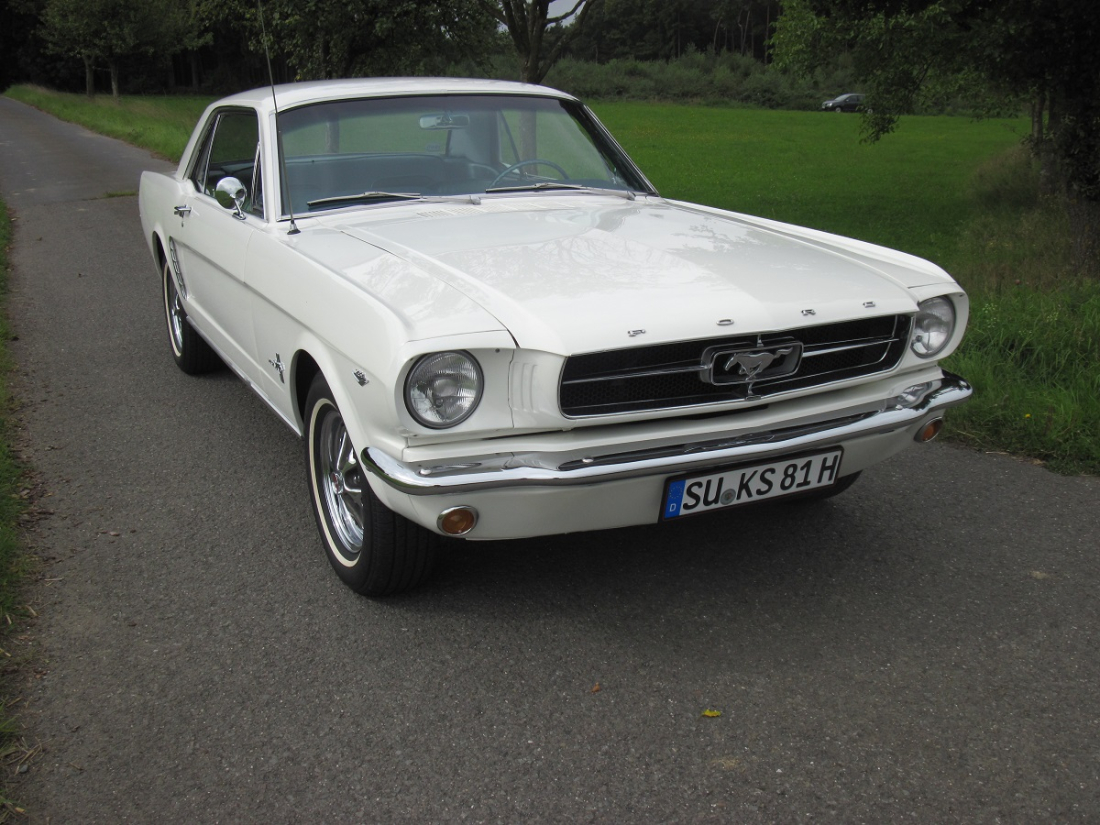 Mustang Heilbrunnen 003 - Kopie.JPG