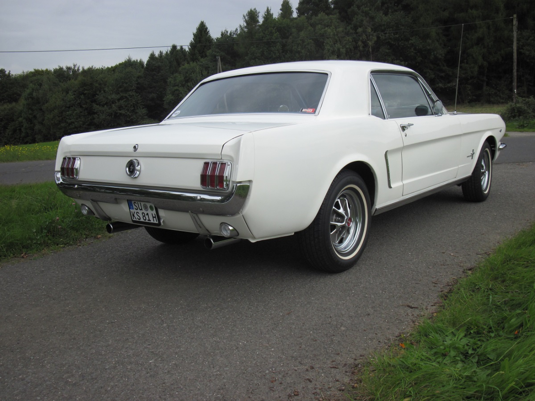Mustang Heilbrunnen 008 - Kopie.JPG