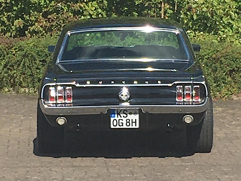 Nachsicht bitte, mein erstes Foto übers IPhone