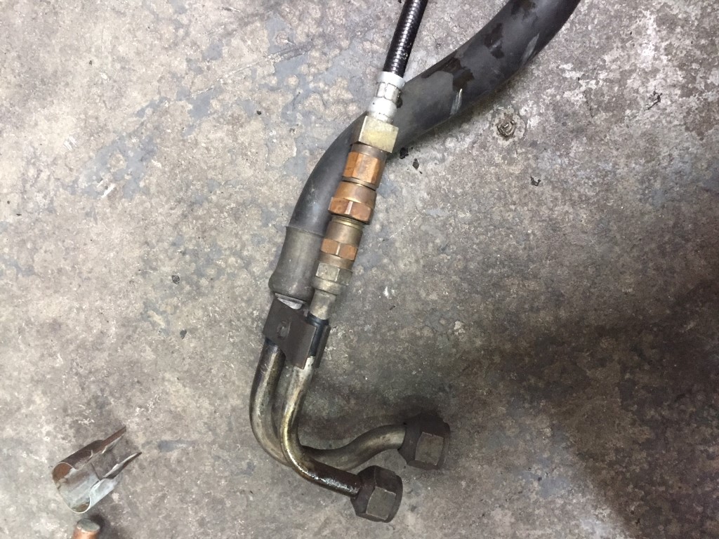 IMG_2238 (Medium).JPG