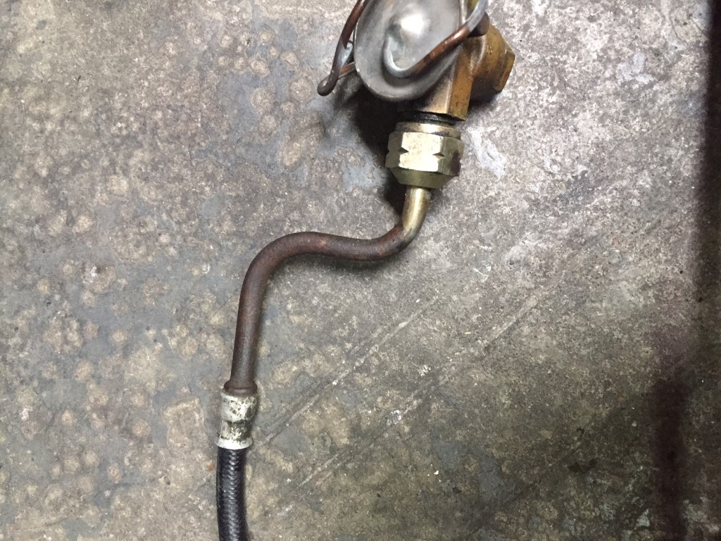 IMG_2239 (Medium).JPG