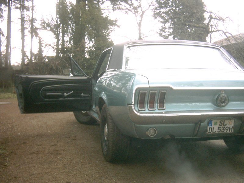 mustang-t5-back.jpg