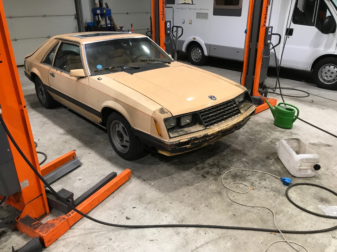 Mustang 79.jpg