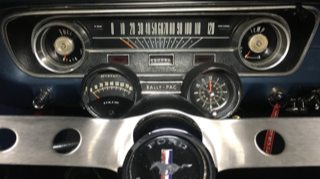 IMG_7979.PNG