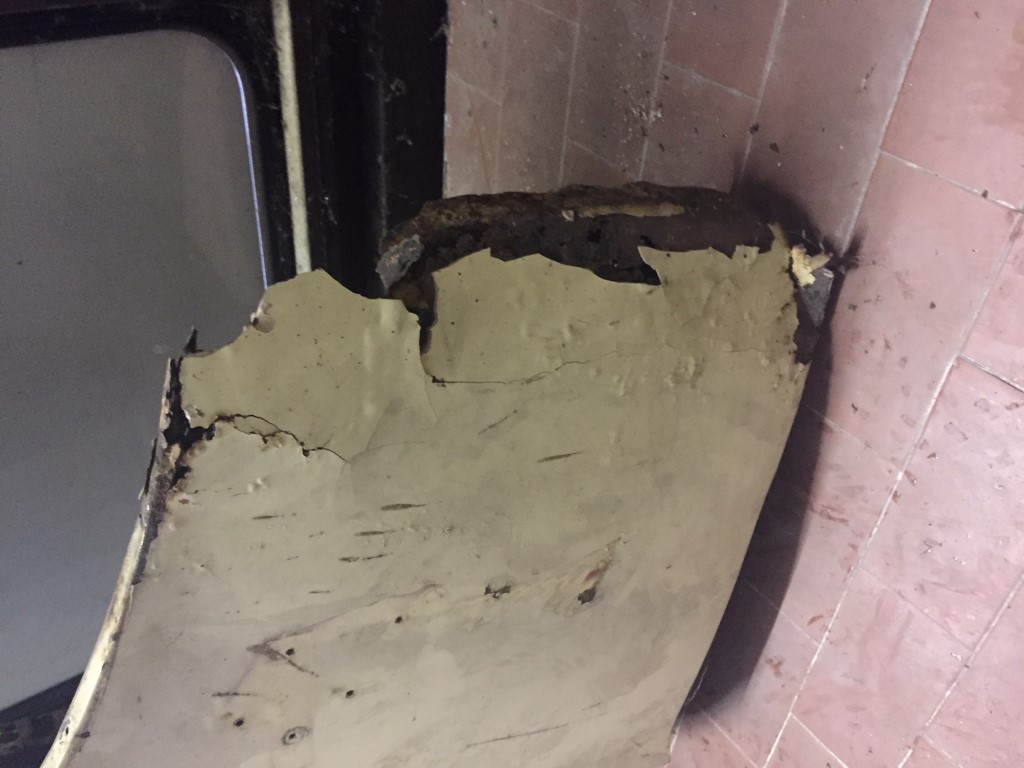 IMG_2356 (Medium).JPG