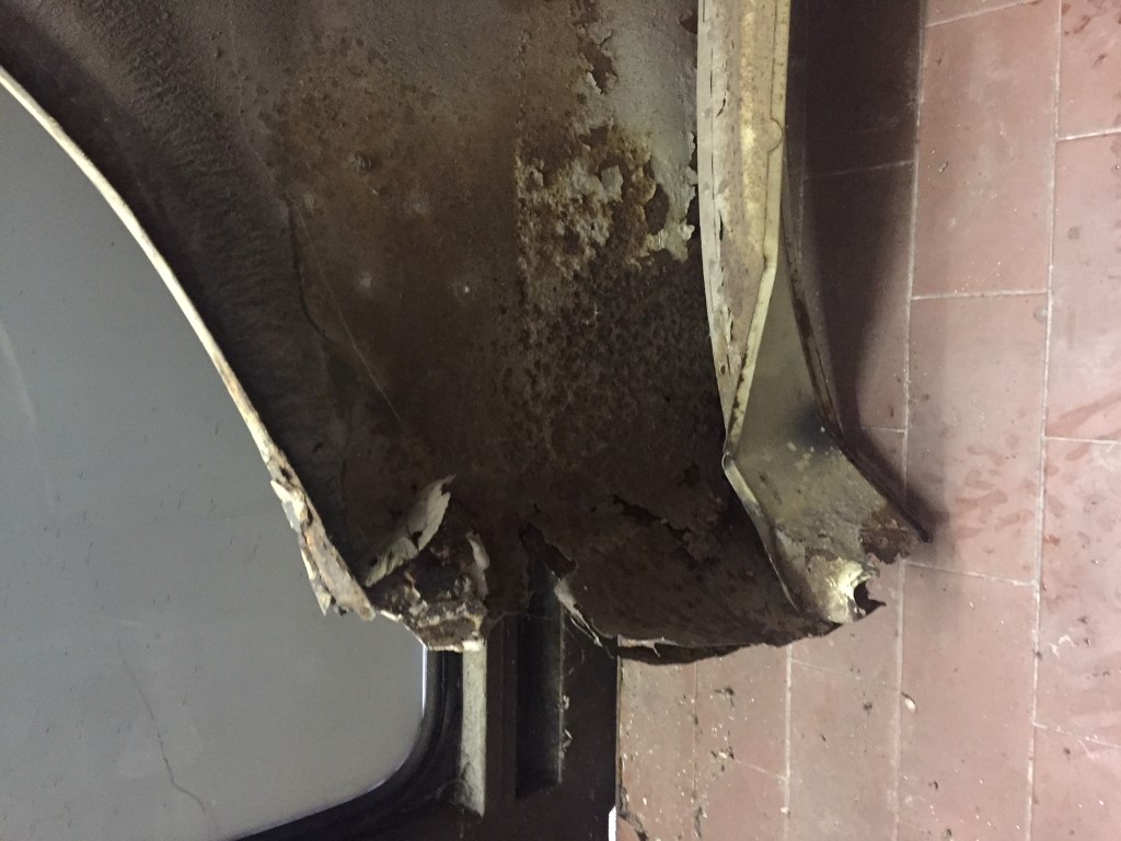 IMG_2368 (Medium).JPG