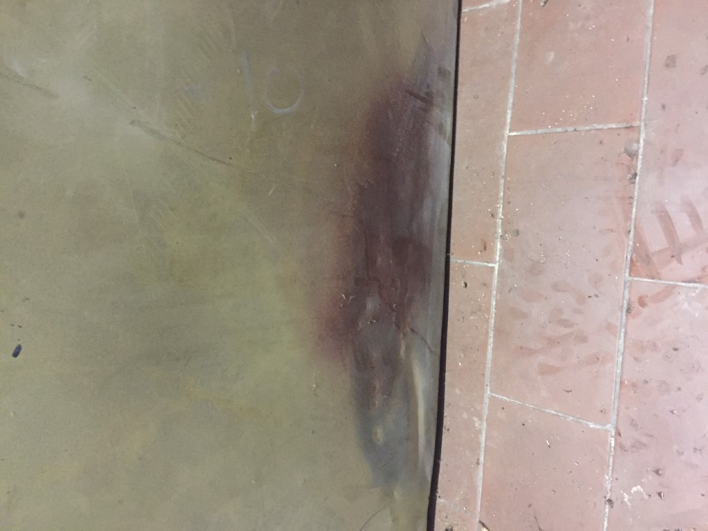 IMG_2373 (Medium).JPG