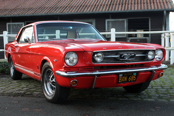 Mustang-005-klein.jpg