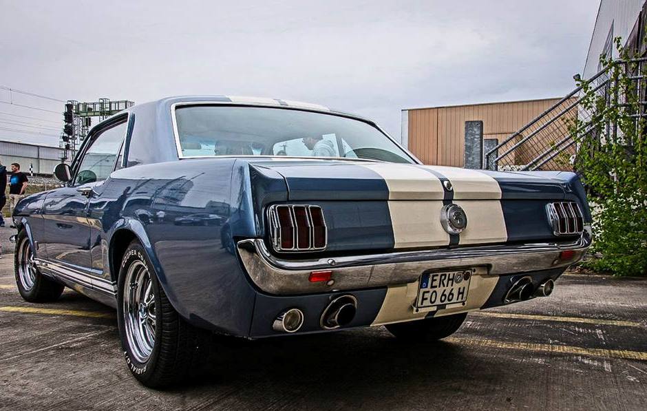 Mustang 3 verkleinert.jpg