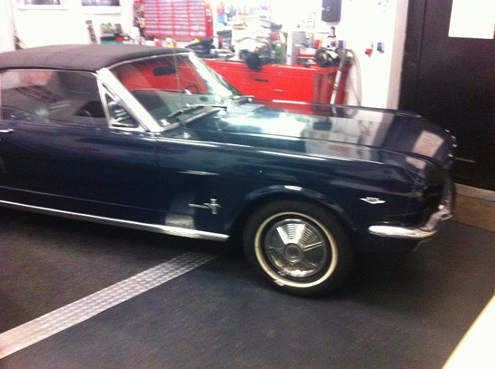Mustang 020.jpg