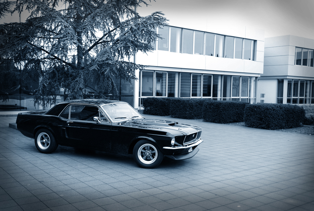 Mein Pony ... :)