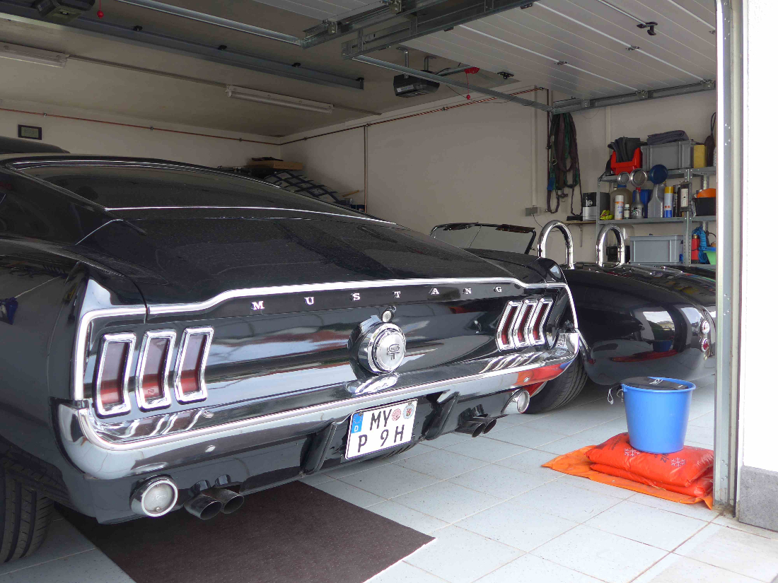 P1000453a.jpg