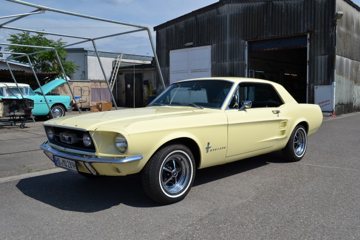 DSC_0032 (Small).JPG