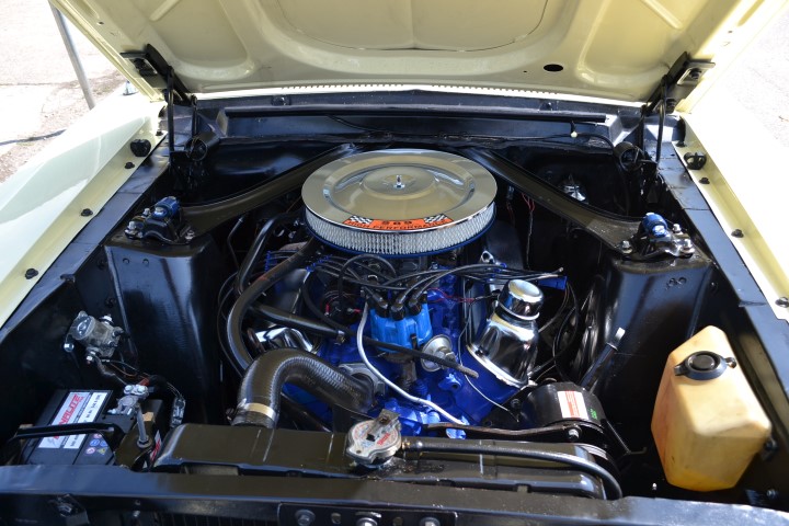 DSC_0038 (Small).JPG