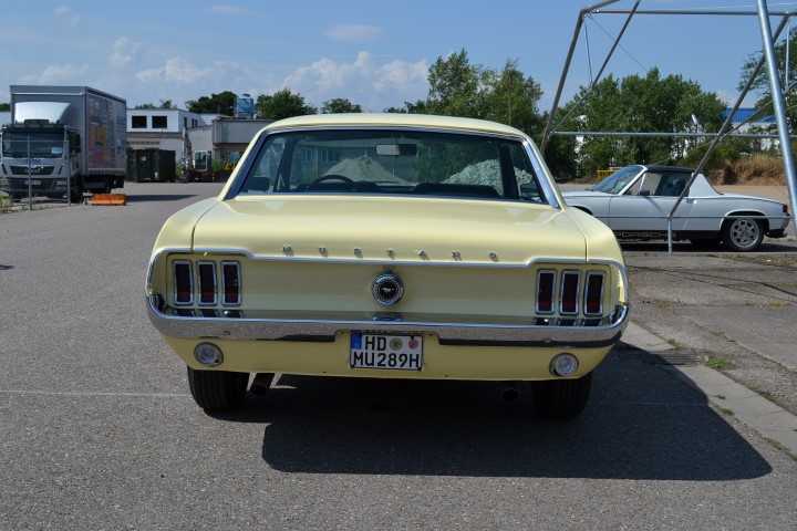 DSC_0035 (Small).JPG