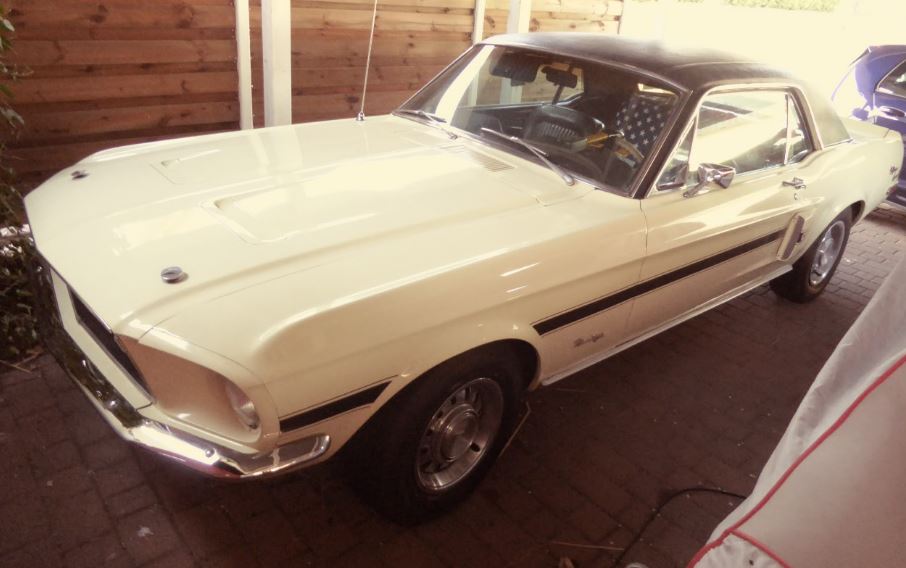 Mustang Seite.JPG