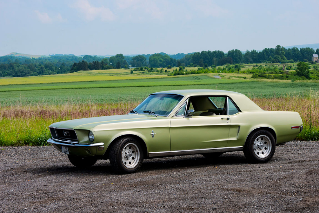 Mustang and Werla small2.jpg