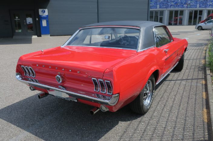 Mustang2.png