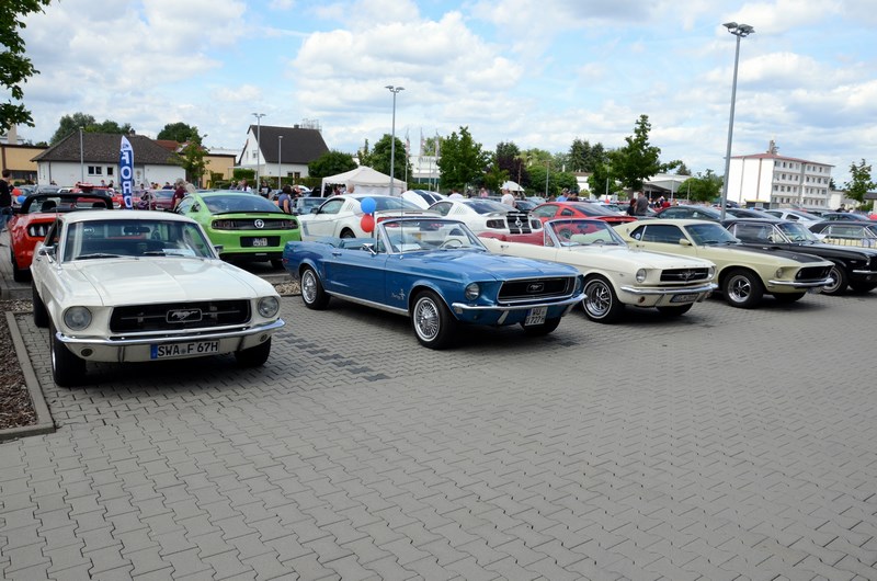 DSC_3313.JPG
