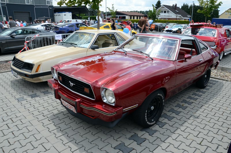 DSC_3374.JPG
