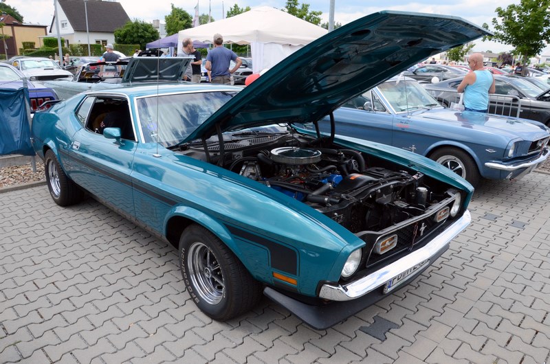 DSC_3375.JPG