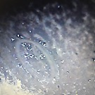 5E162EEB-4B27-43F1-9715-1D610A14CAEE.jpeg