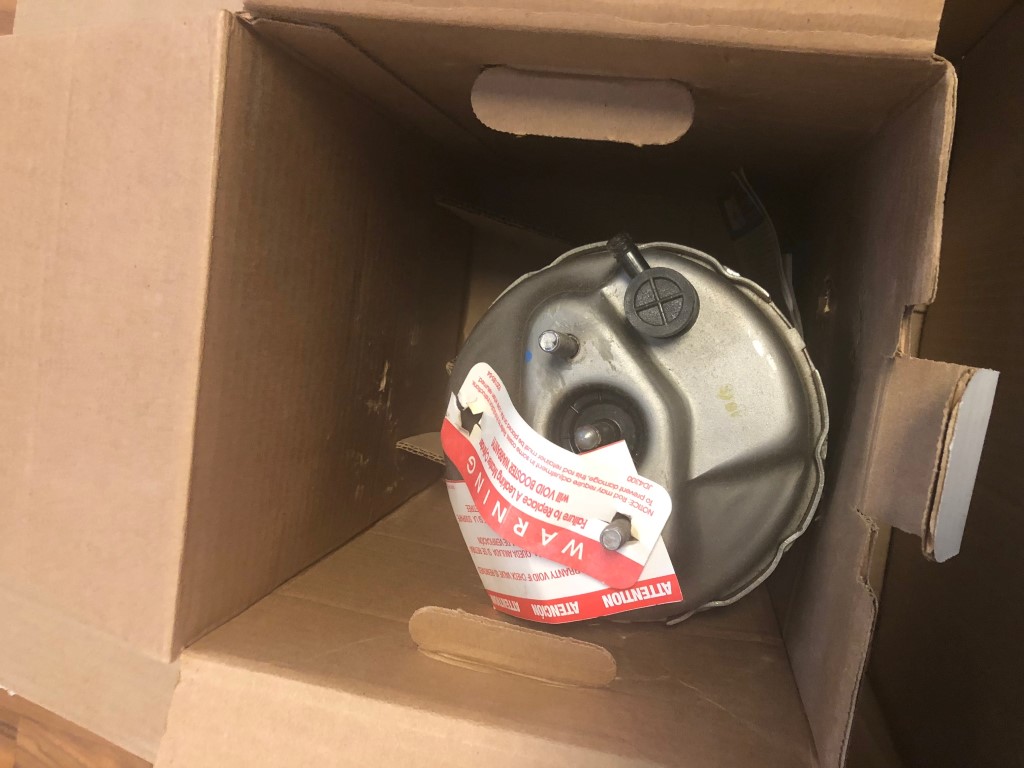 IMG_3738 (Medium).jpg