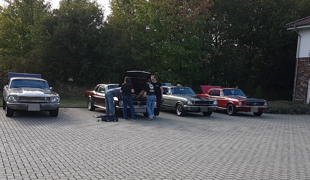 20180915_171805 (1024x593) (2).jpg