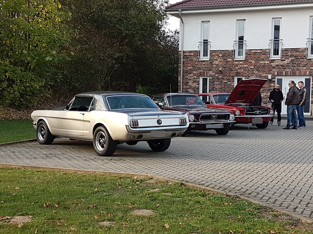 20181020_165700 (1024x768).jpg