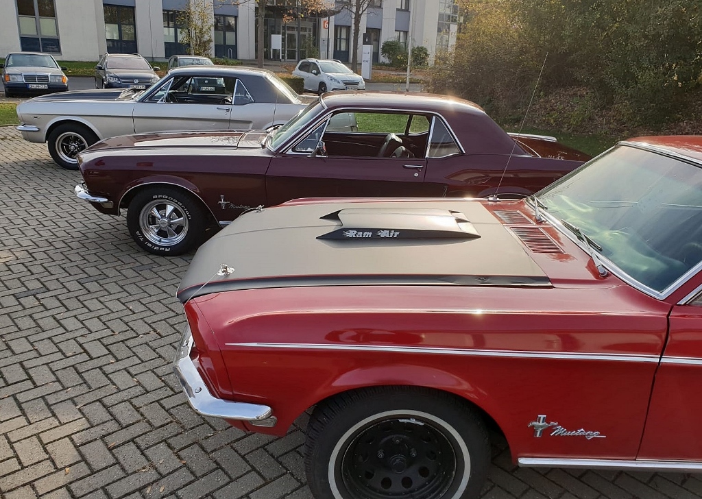 IMG-20181020-WA0024 (1024x728).jpg