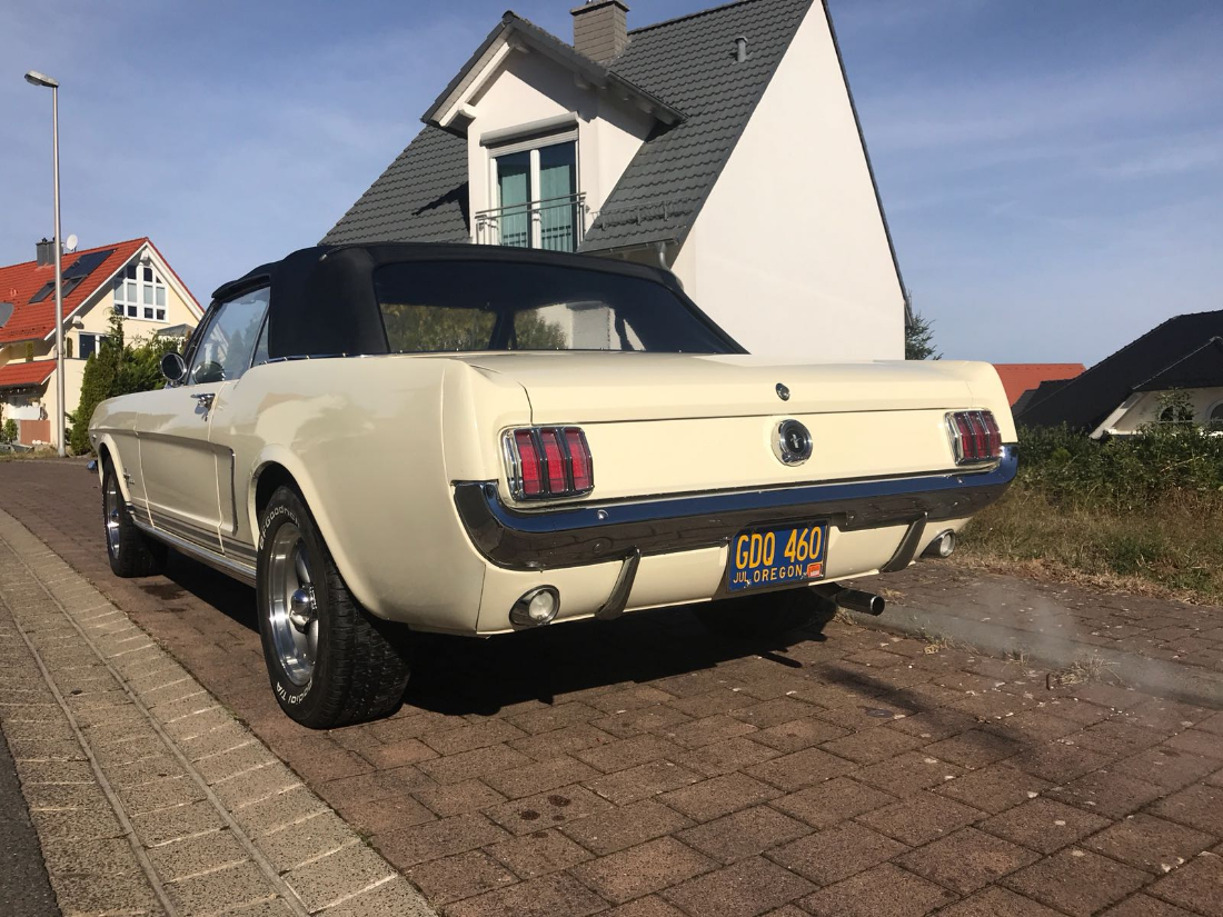 IMG-20180926-WA0016.jpg