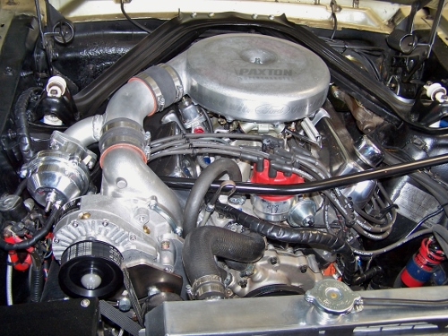 100_2182 - Kopie (500x375).jpg