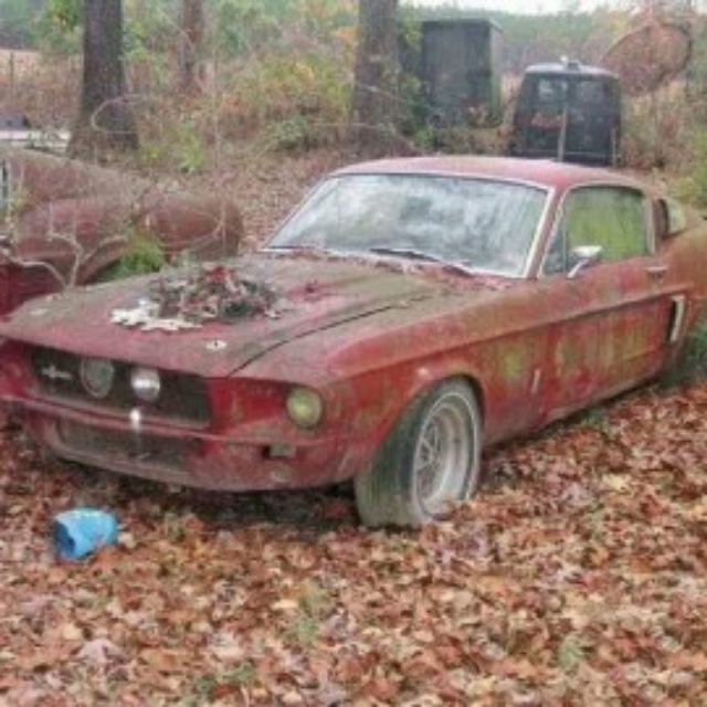 Mustang
