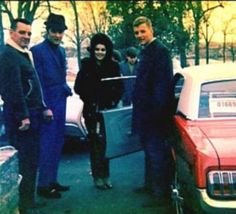 970442aabbdb9d198776e7def06a8d2a--new-mustang-priscilla-presley.jpg