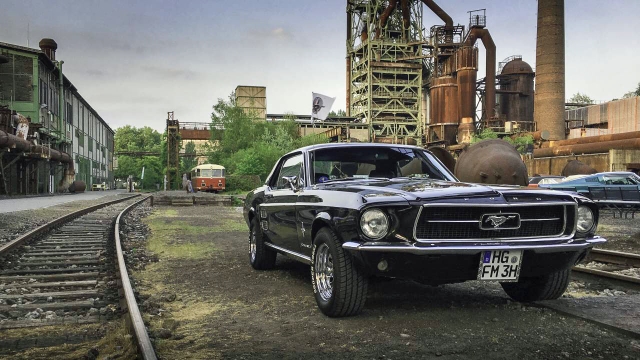 bIMG_4317_1280x1280 (640x360).jpg