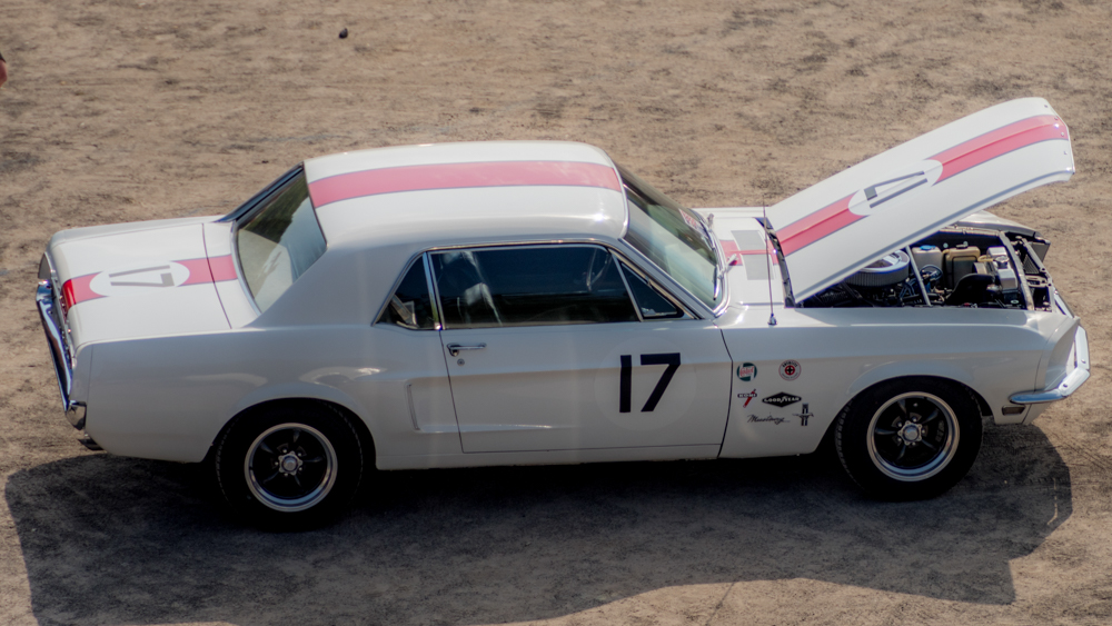 DSC_5333.JPG