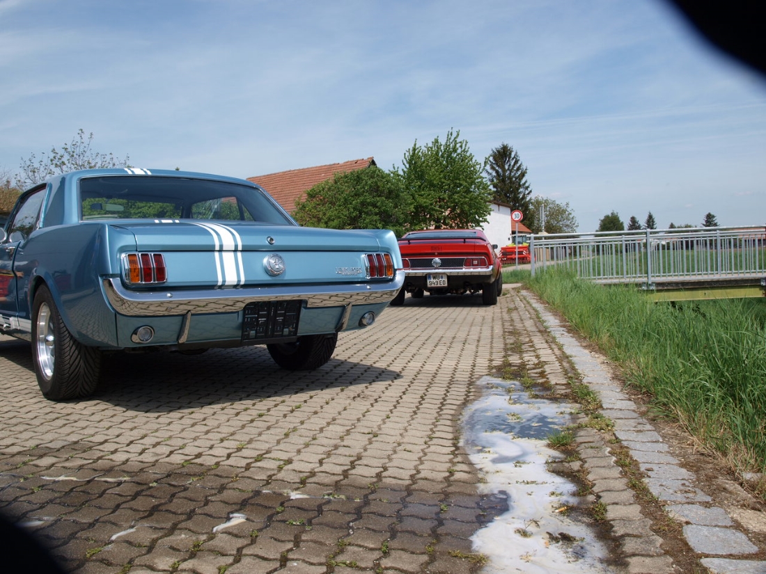 6ABCAF3E-F885-4DB5-8208-73244CF059D5.JPG