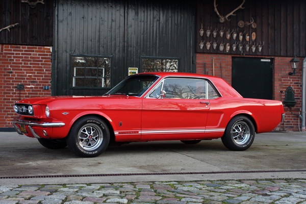 Mustang-001-klein.jpg