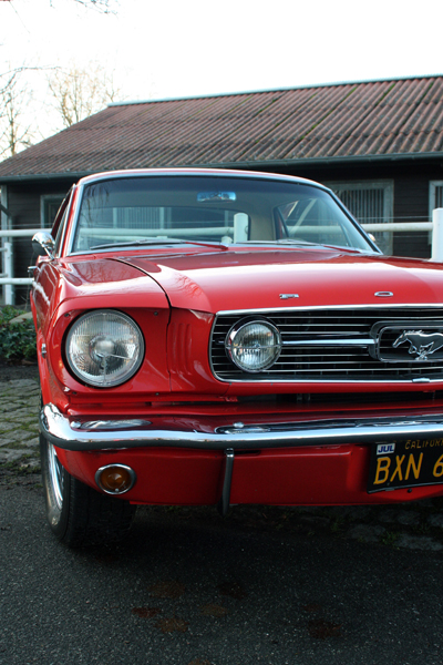 Mustang-002-klein.jpg