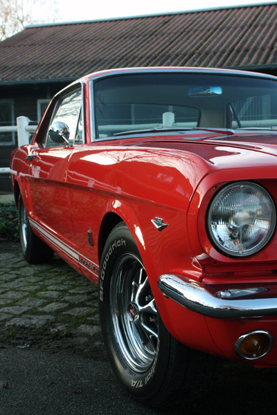 Mustang-003-klein.jpg