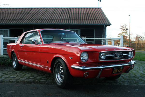 Mustang-006-klein.jpg