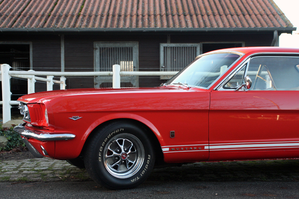 Mustang-007-klein.jpg