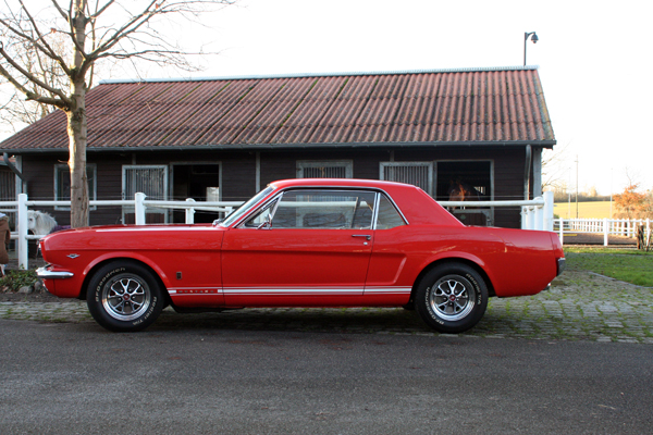 Mustang-008-klein.jpg