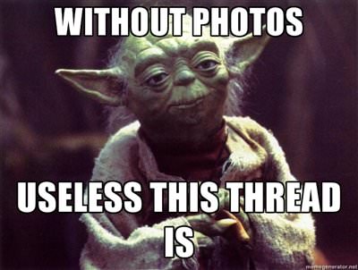 Withoutpics.jpg