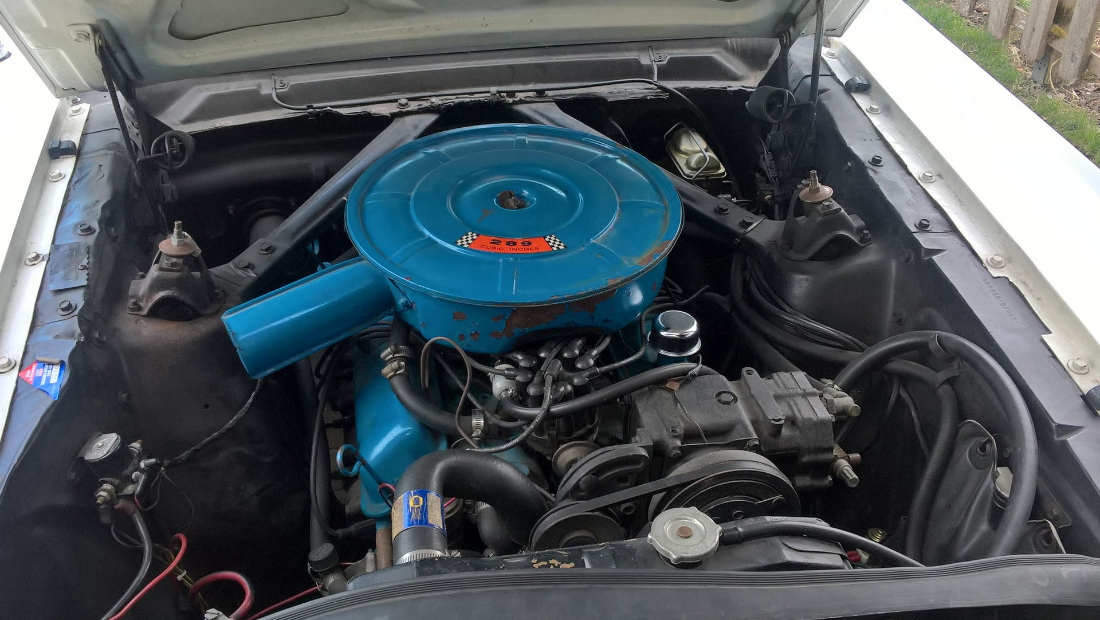 Mustang 04.jpg