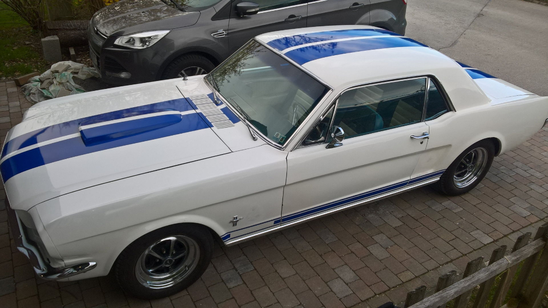 Mustang 02.jpg