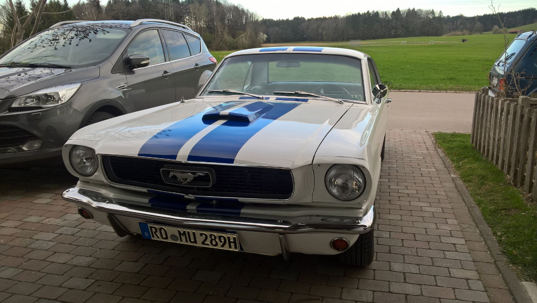Mustang 01.jpg